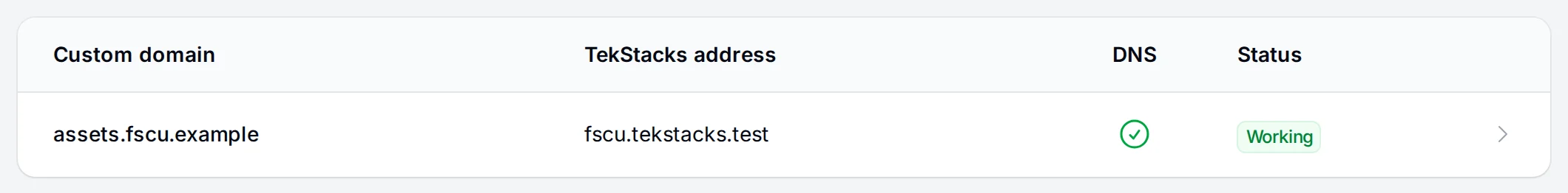 The Domains settings page with a company domain working and its DNS record checked.